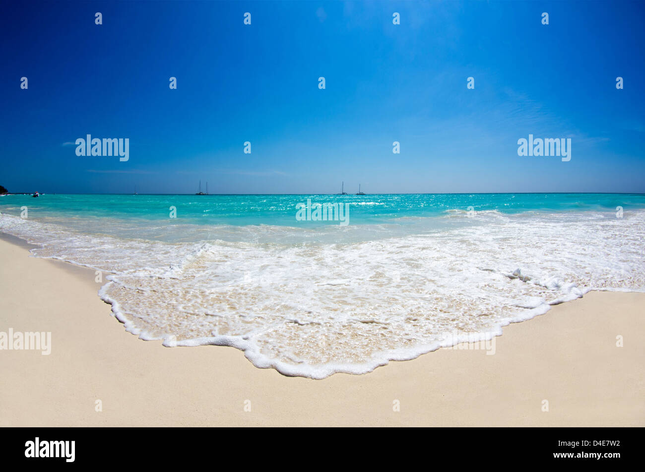 Palm tree sea beach hi-res stock photography and images - Alamy