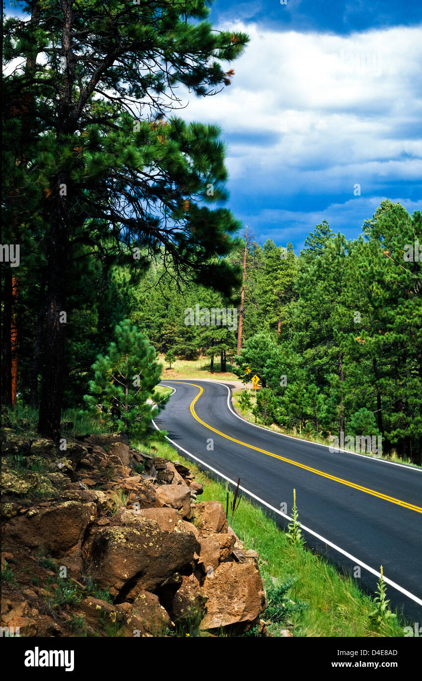U.S. Route 191 cutting through the Apache National Forest in Eastern Arizona. USA Stock Photo