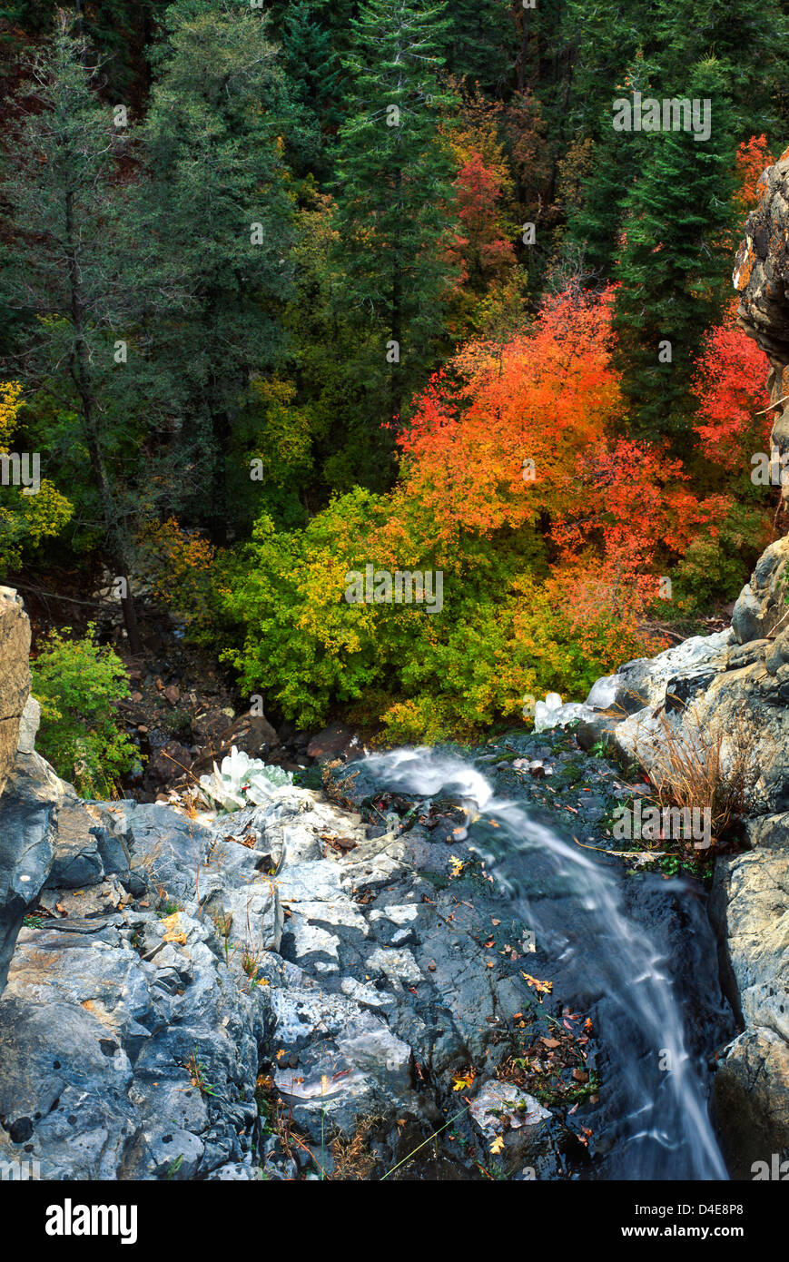 Workman Falls flowing at Autumn time, Tonto National Forest, Arizona. USA. Stock Photo