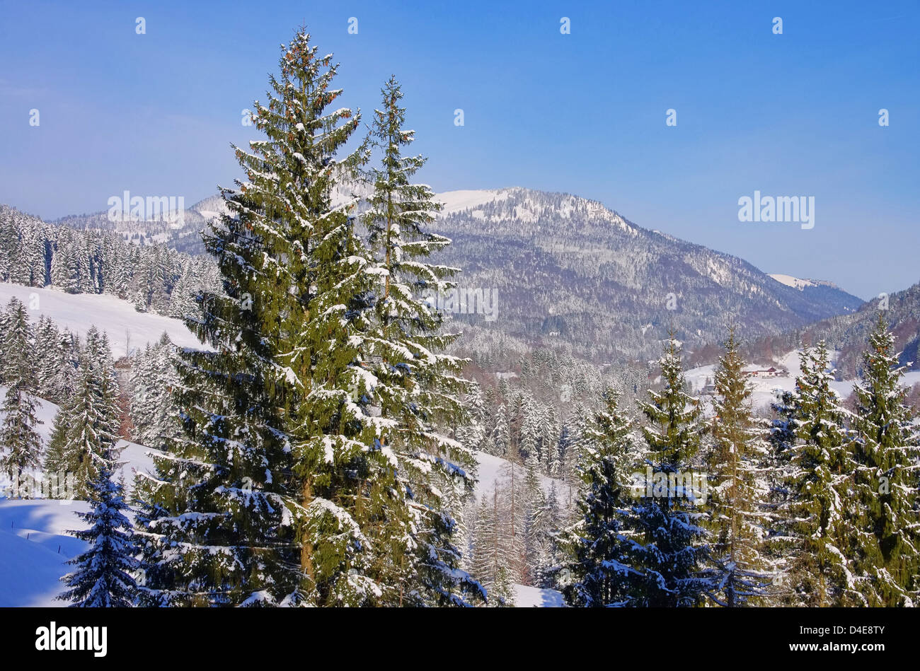 Alpen im Winter - Alps mountains in winter 04 Stock Photo