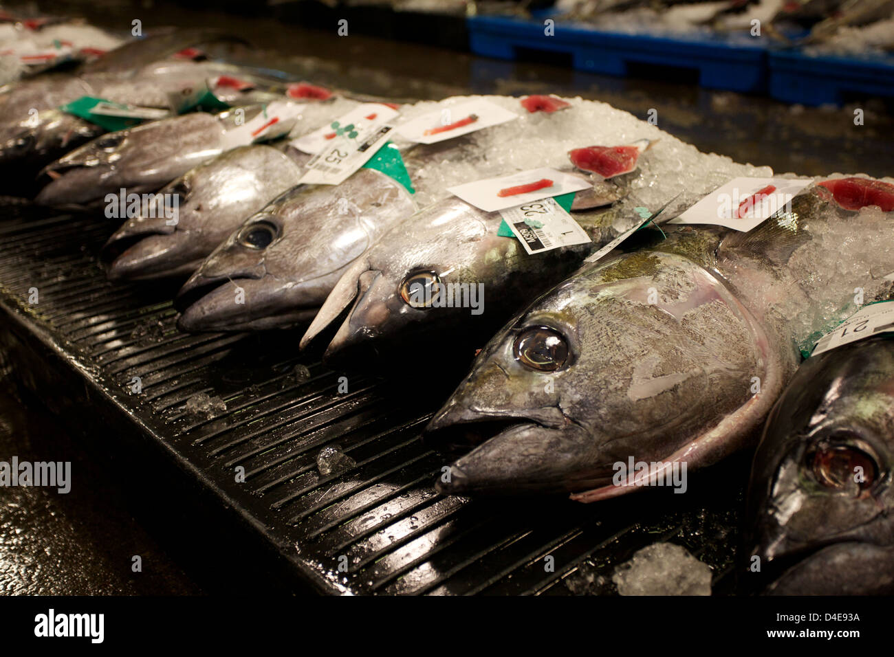 The Honolulu Fish Auction and Market at Pier 38 Stock Photo Alamy