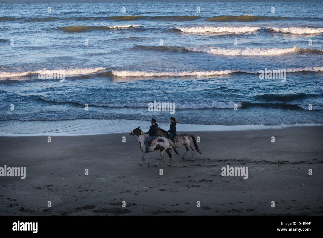 Horses Public Beach High Resolution Stock Photography And Images Alamy Horses Public Beach High Resolution Stock Photography And Images Alamy