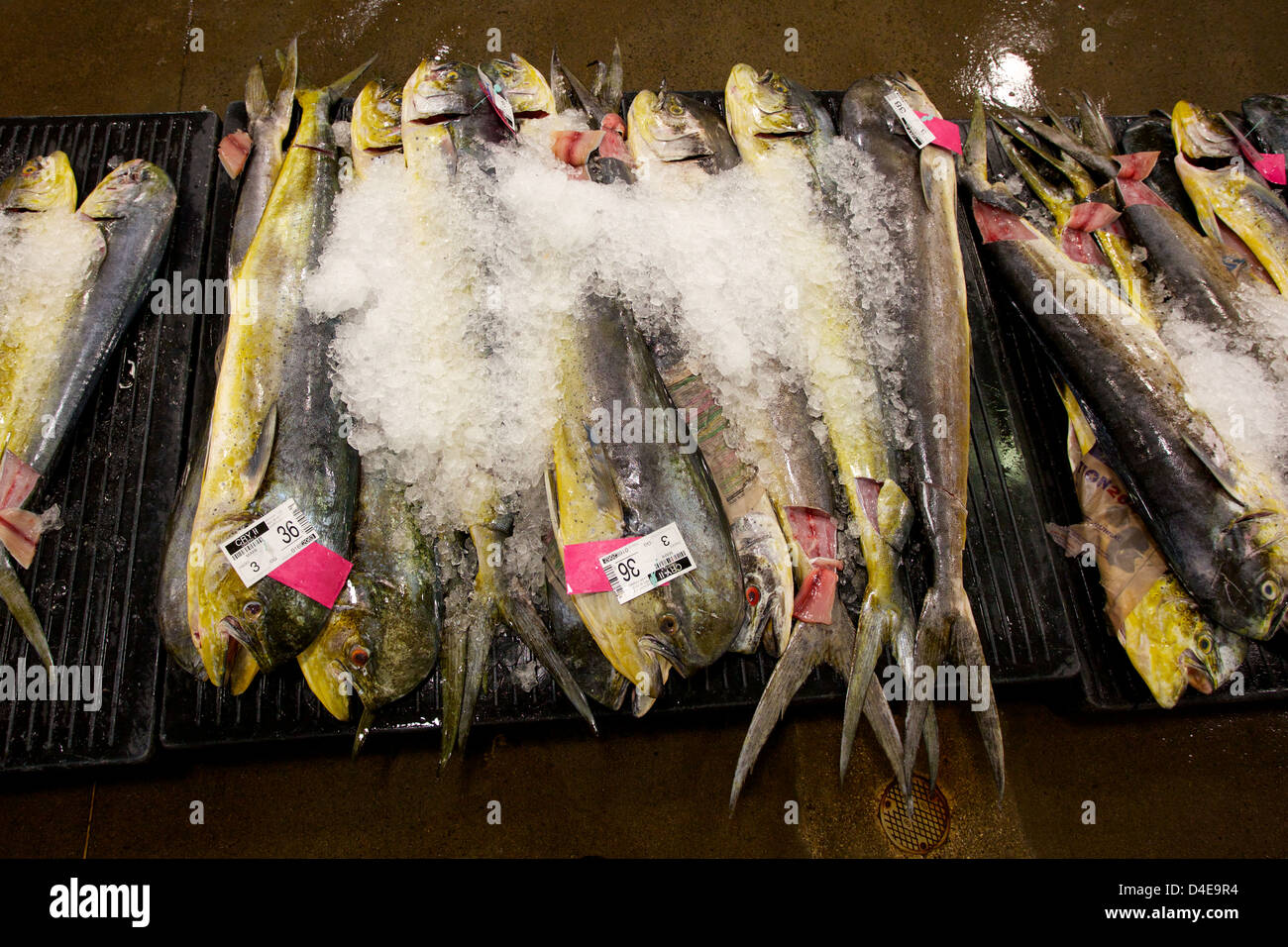 The Honolulu Fish Auction and Market at Pier 38 Stock Photo Alamy