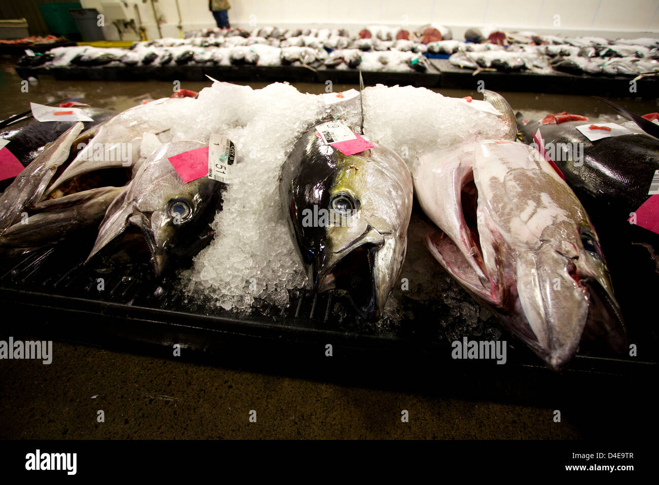 The Honolulu Fish Auction and Market at Pier 38 Stock Photo Alamy
