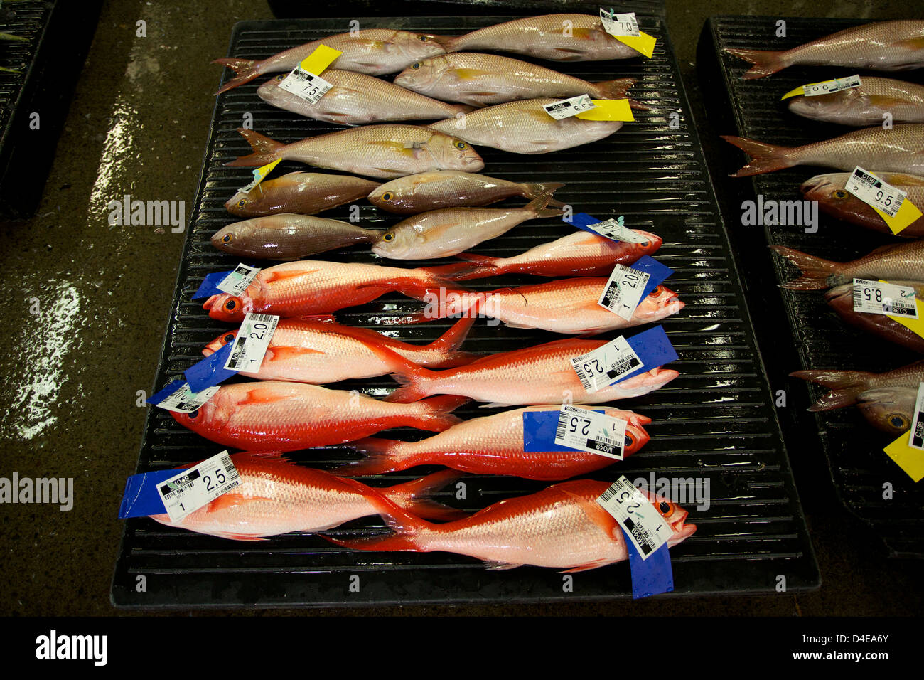 The Honolulu Fish Auction and Market at Pier 38 Stock Photo Alamy