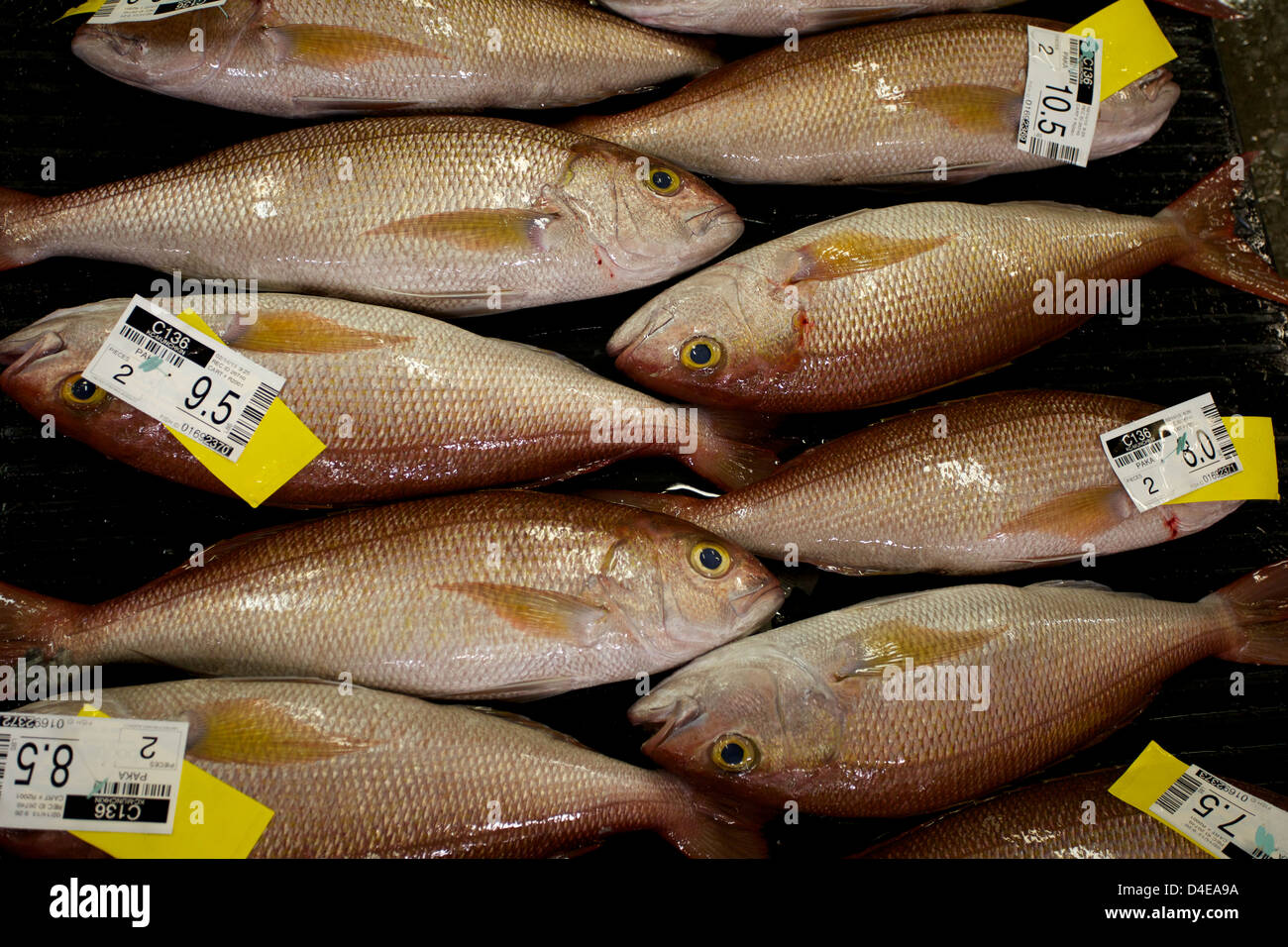 The Honolulu Fish Auction and Market at Pier 38 Stock Photo Alamy