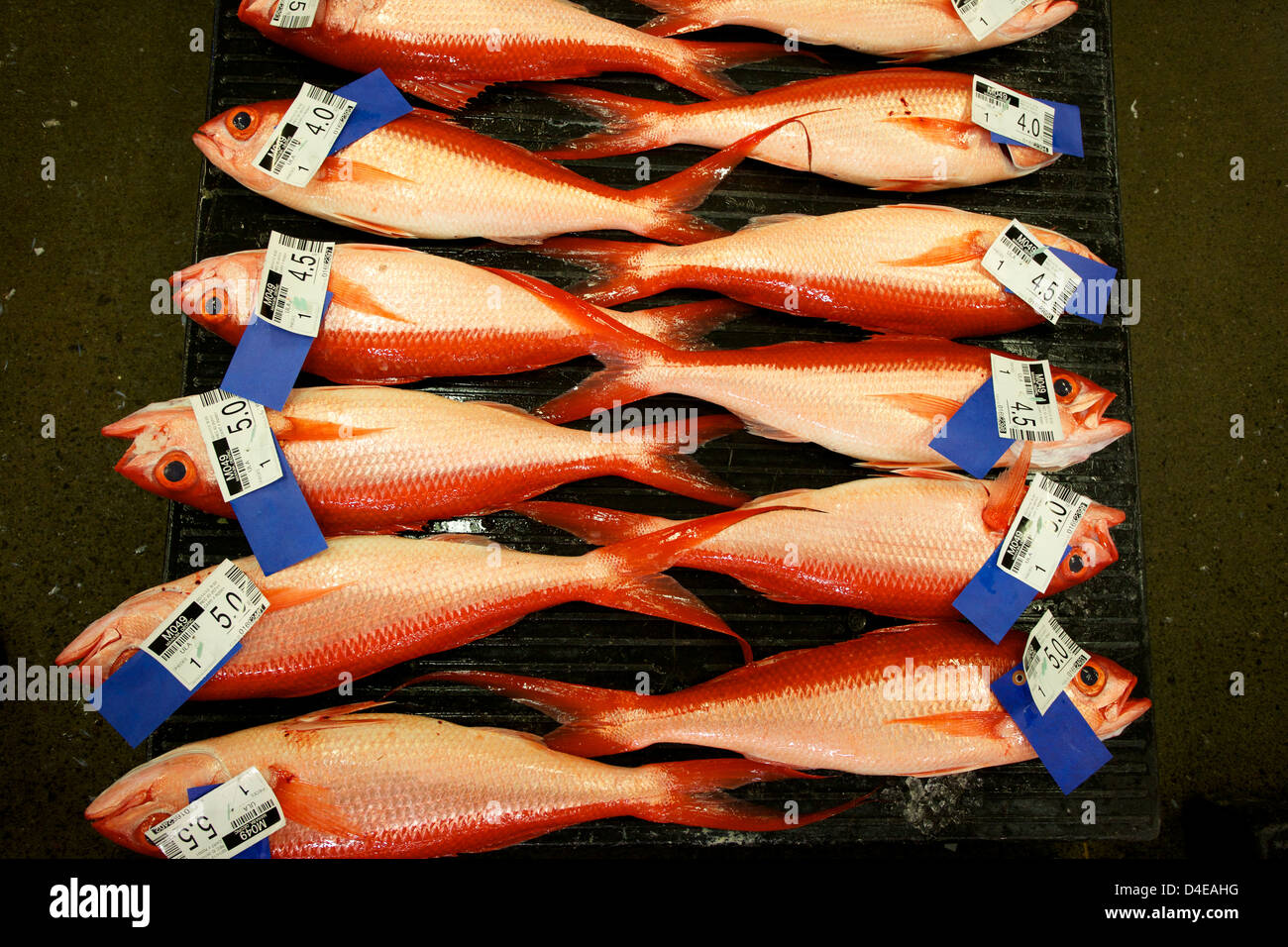 The Honolulu Fish Auction and Market at Pier 38 Stock Photo Alamy