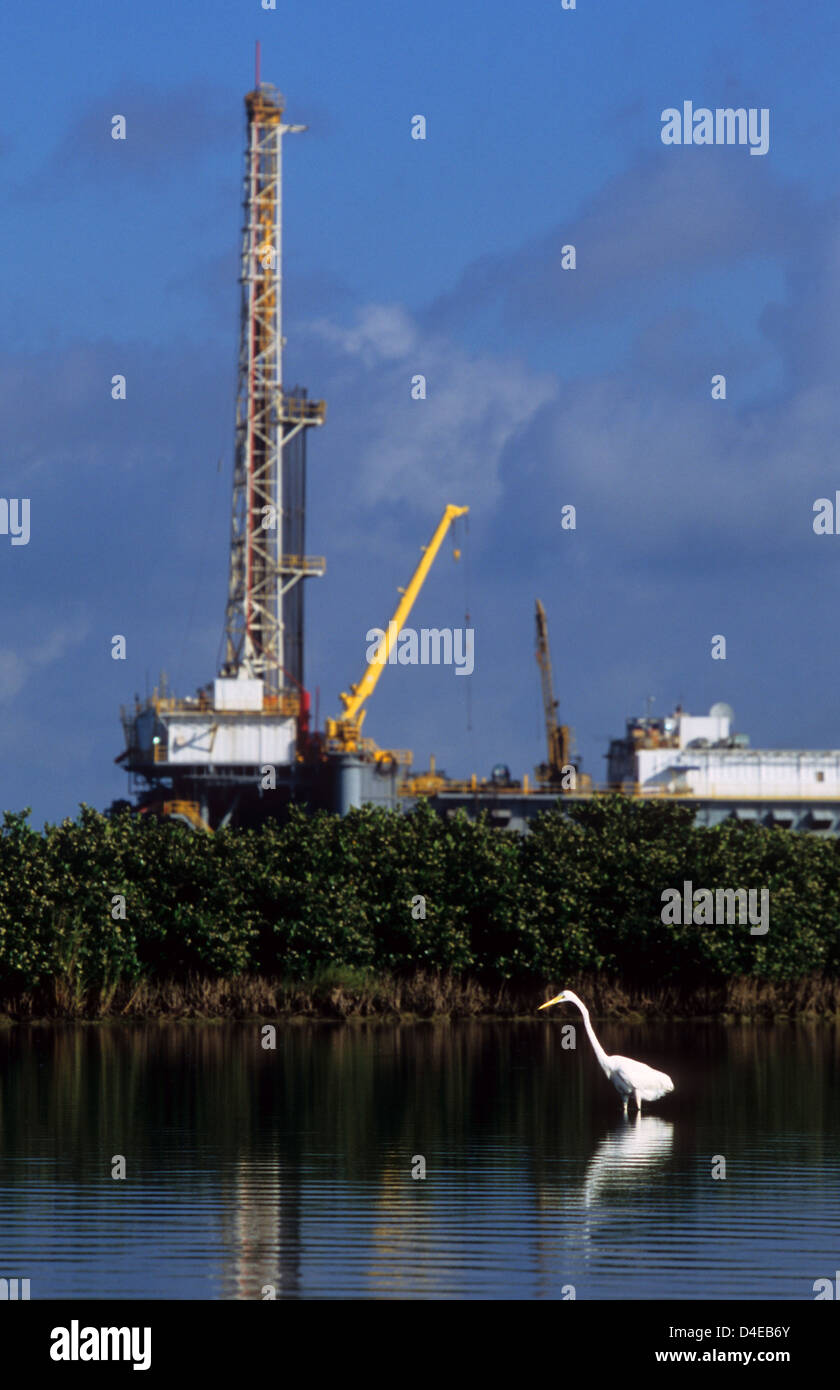 Egret wading the shallows near an oil and gas well near Port Aransas Texas Stock Photo