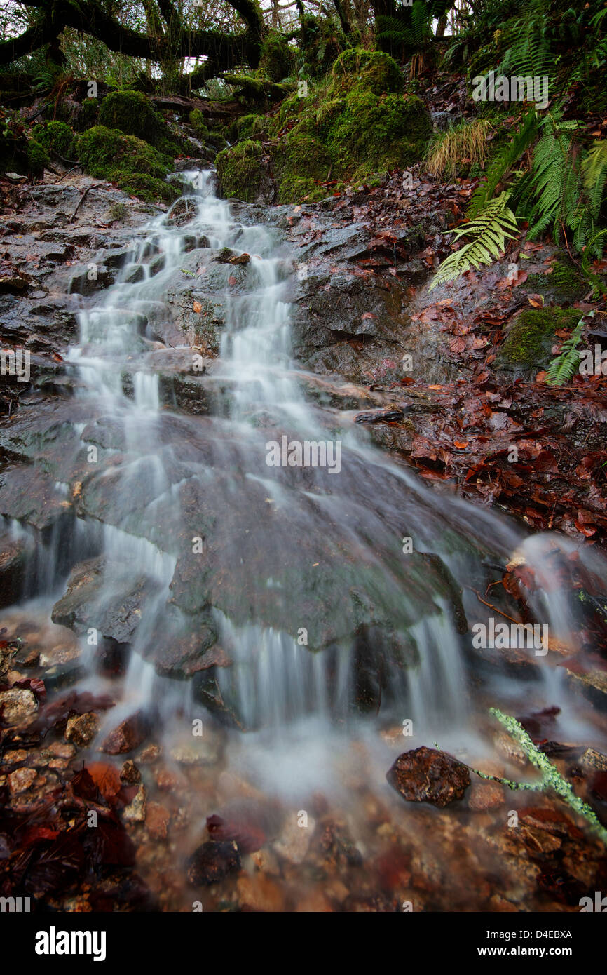 The River Kennall at Ponsanooth in Cornwall Stock Photo Alamy