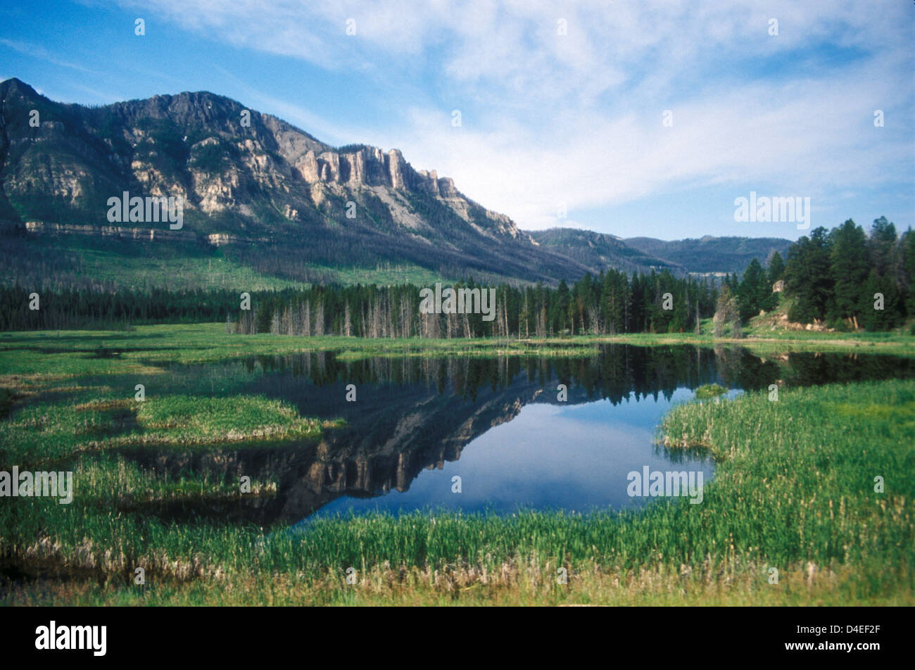 Lake beside the Chief Joseph Scenic Highway, Shoshone National Forest, Wyoming, USA Stock Photo