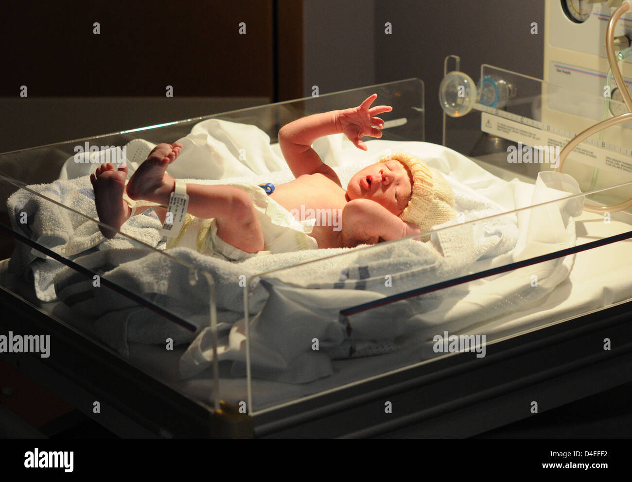 A new born baby a few minutes after delivery on 26th November 2011. Stock Photo