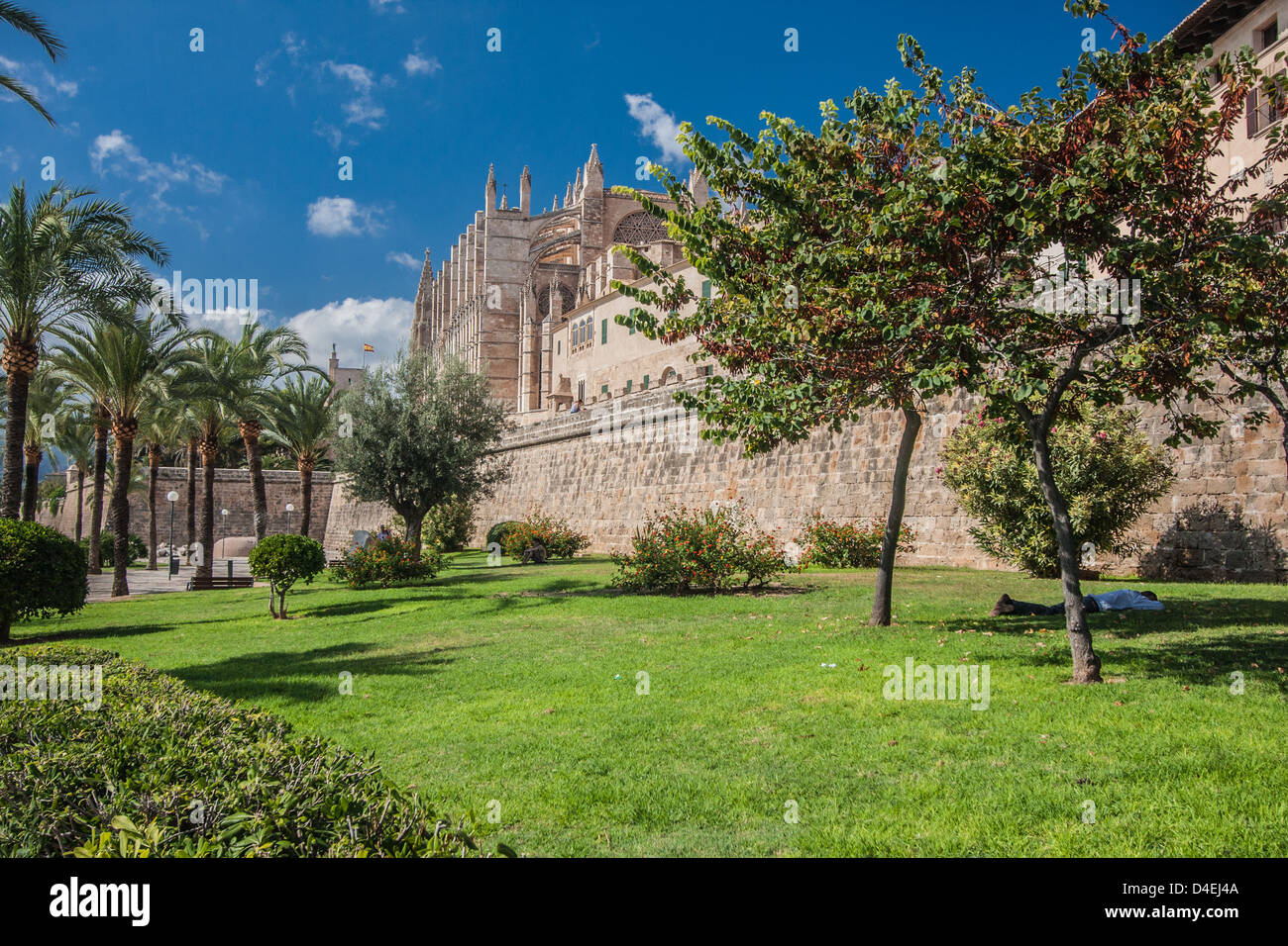 Palma de verano hi-res stock photography and images - Alamy