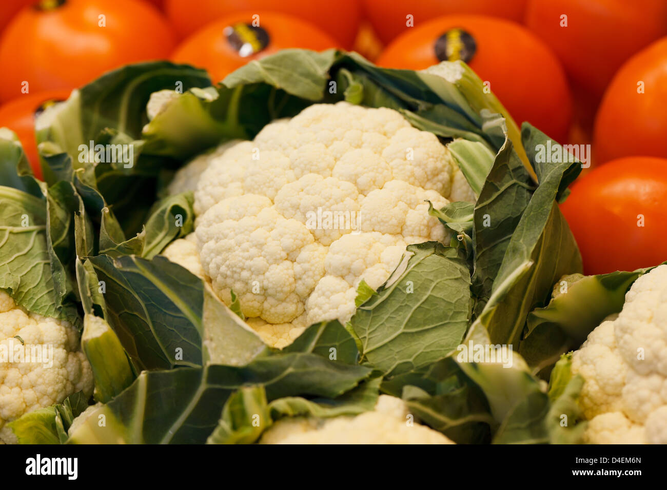 Berlin, Germany, cauliflower at Fruit Logistica 2011 Stock Photo - Alamy