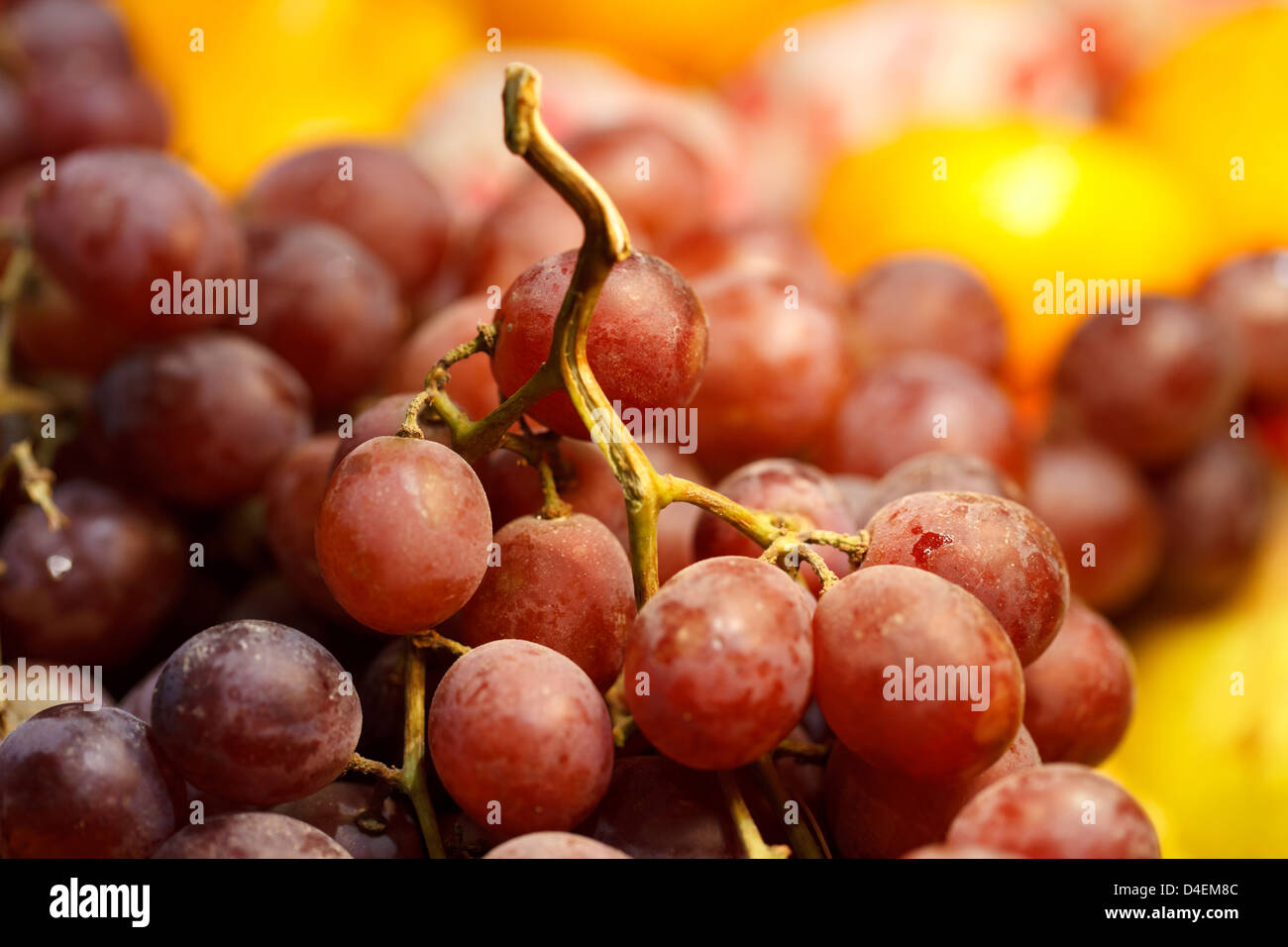 Berlin, Germany, grapes at Fruit Logistica 2011 Stock Photo