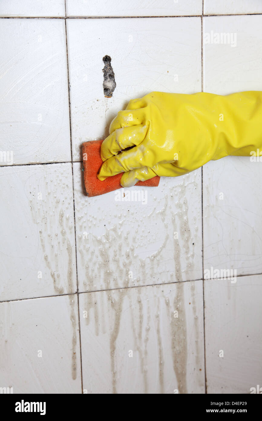 gloved hand cleaning dirty old tiles with sponge in a bathroom Stock ...