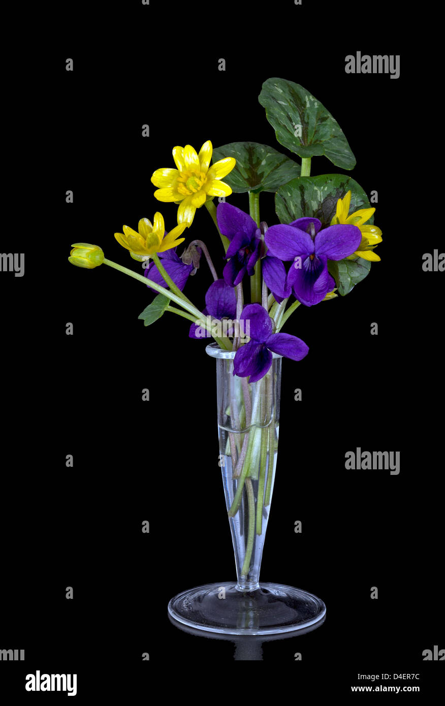 Vase of tiny wild flowers Stock Photo