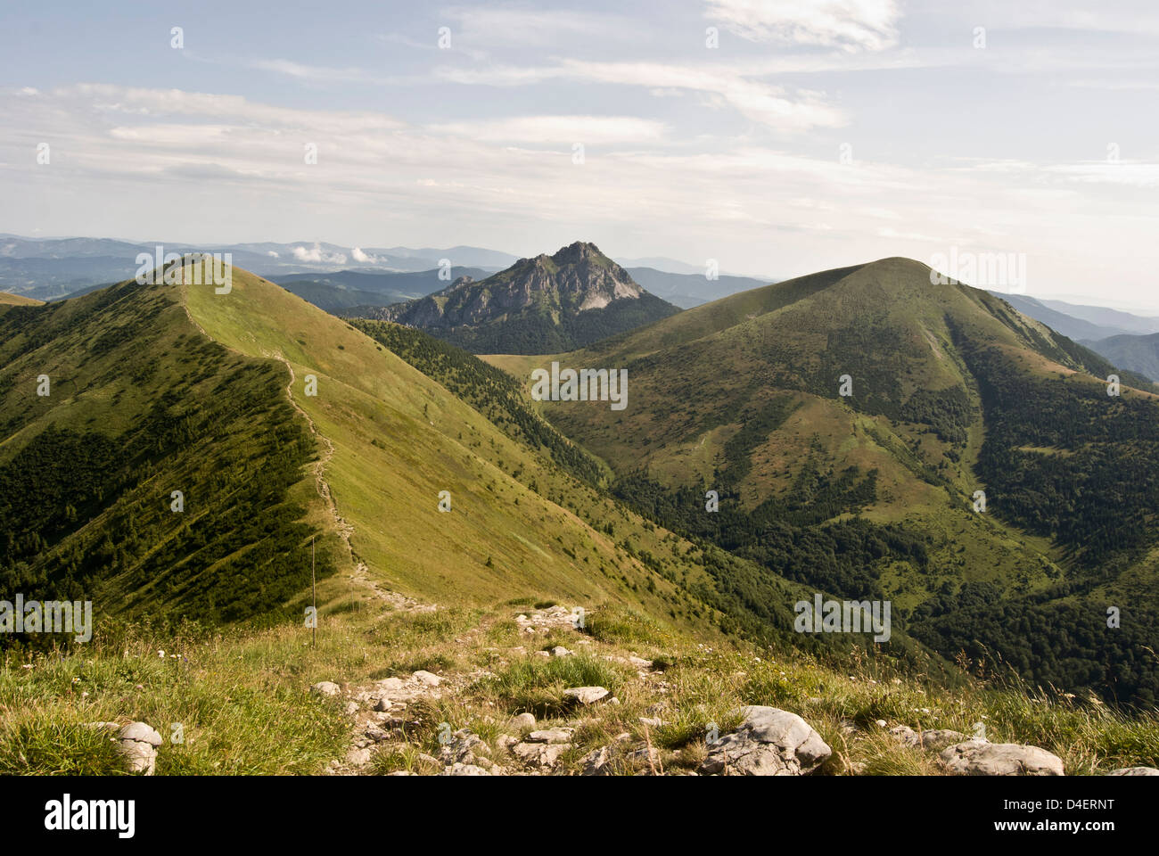 Steny, Stoh and rocky Velky Rozsutec hill on the background from Hromove hill in Krivanska Mala Fatra mountain range in Slovakia Stock Photo
