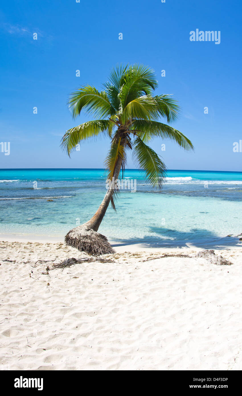 Beautiful beach backgrounds hi-res stock photography and images - Alamy
