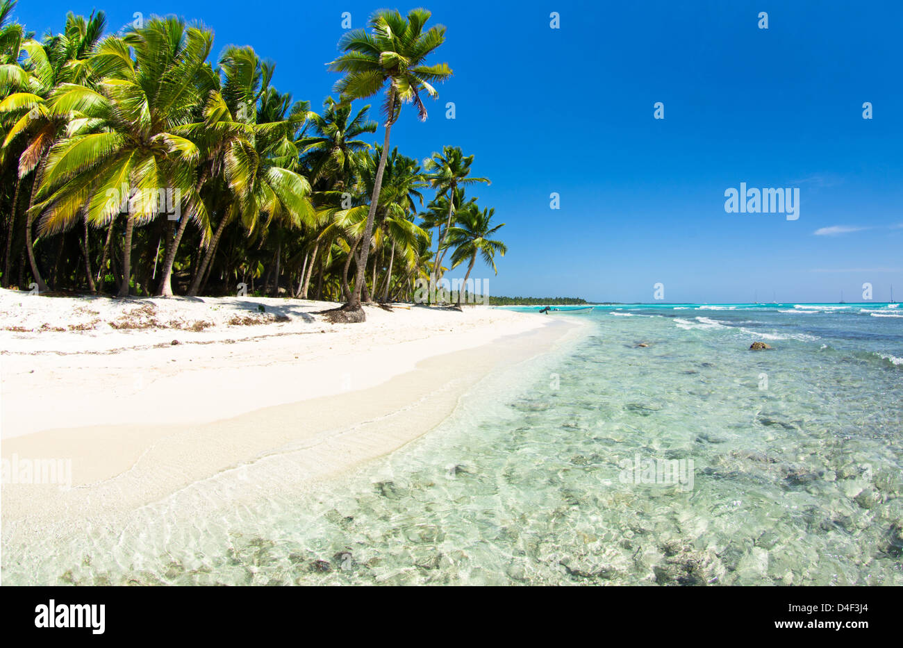 Beautiful beach green palm trees hi-res stock photography and images ...