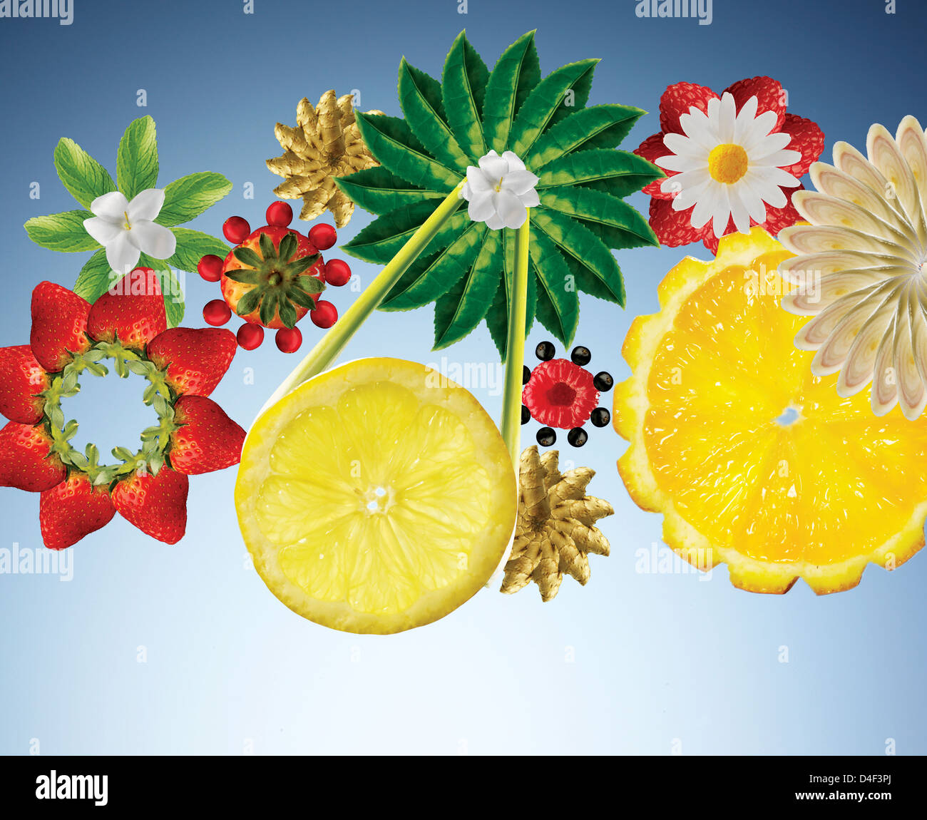 Illustration of fruits and vegetables in flower shapes Stock Photo