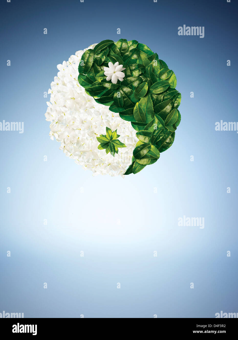 Illustration of leaves in yin yang shape Stock Photo