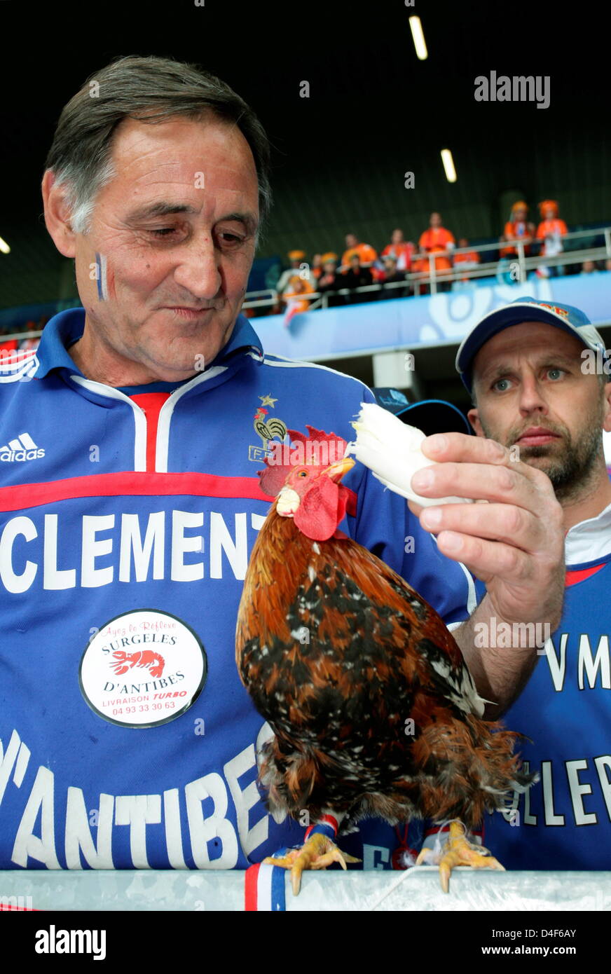 French fan 'Clement d' Antibes' feeds his cockerel with asparagus prior to the UEFA EURO 2008 Group C preliminary round match between Netherlands and France at the Stade de Suisse stadium in Berne, Switzerland, 13 June 2008. Photo: Ronald Wittek dpa +please note UEFA restrictions particulary in regard to slide shows and 'No Mobile Services'+ +++(c) dpa - Bildfunk+++ Stock Photo