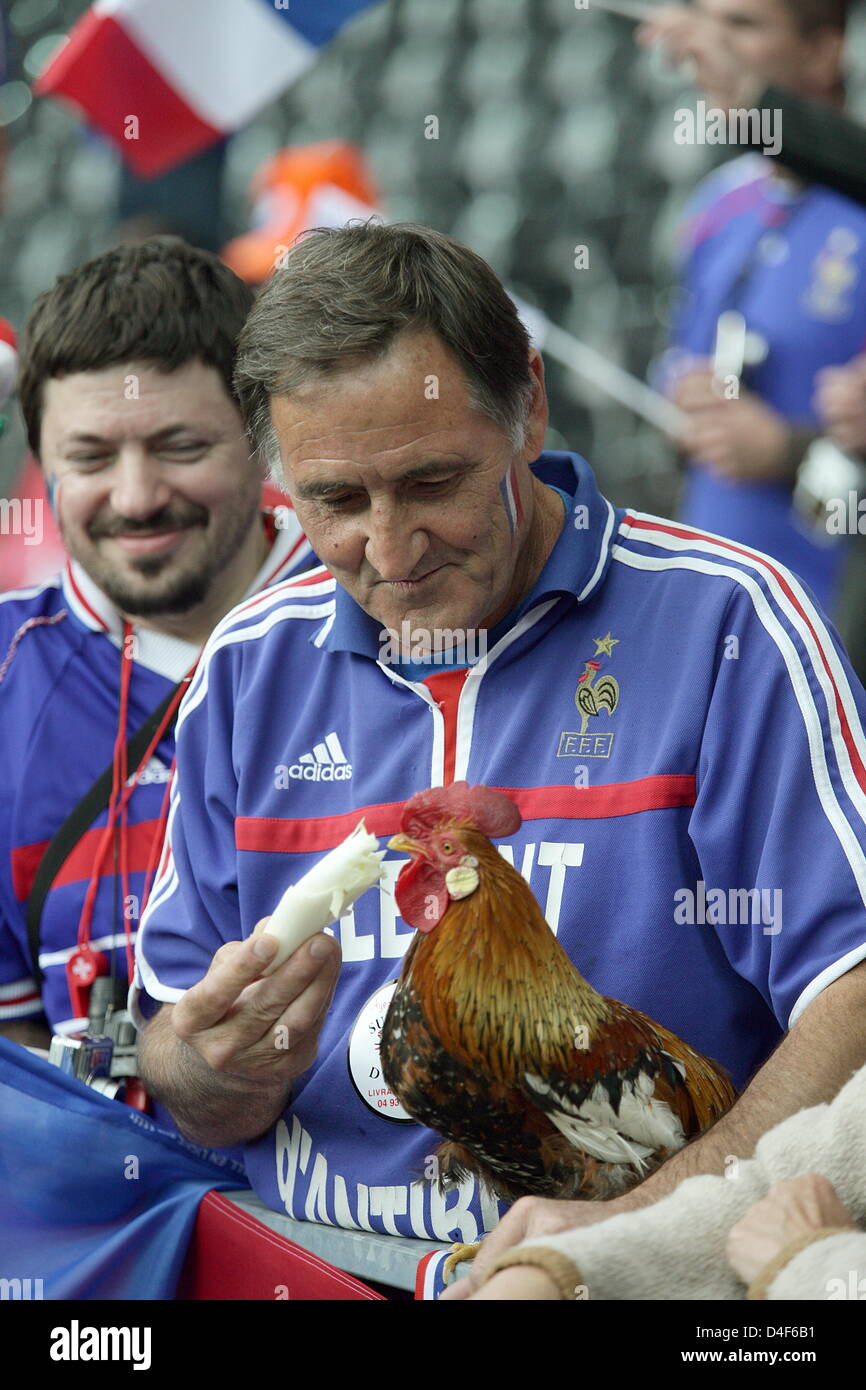 French fan 'Clement d' Antibes' feeds his cockerel with asparagus prior to the UEFA EURO 2008 Group C preliminary round match between Netherlands and France at the Stade de Suisse stadium in Berne, Switzerland, 13 June 2008. Photo: Ronald Wittek dpa +please note UEFA restrictions particulary in regard to slide shows and 'No Mobile Services'+ +++(c) dpa - Bildfunk+++ Stock Photo