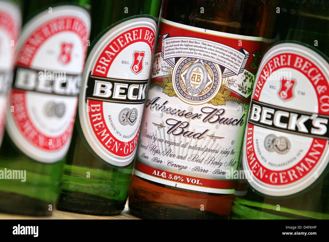 A bottle of US beer 'Bud' of the Anheuser-Busch brewery is pictured in  between 'Becks' bottles of Belgian brewery InBev in Hamburg, Germany, 12  June 2008. InBev plans to take over Anheuser-Busch