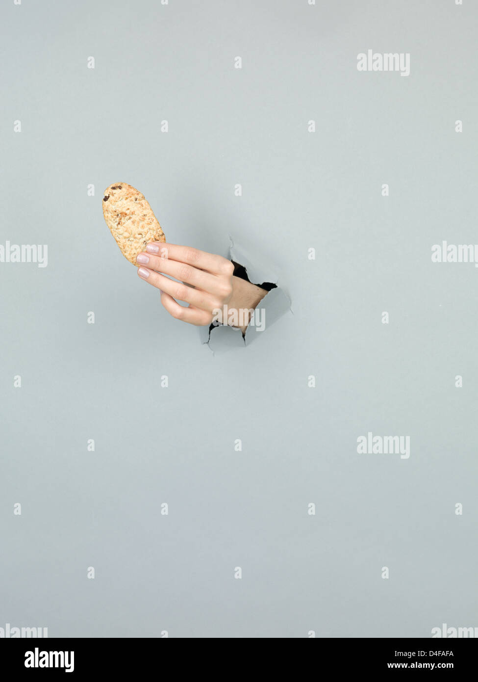close-up of female hand holding a biscuit through a grey paper  Stock Photo