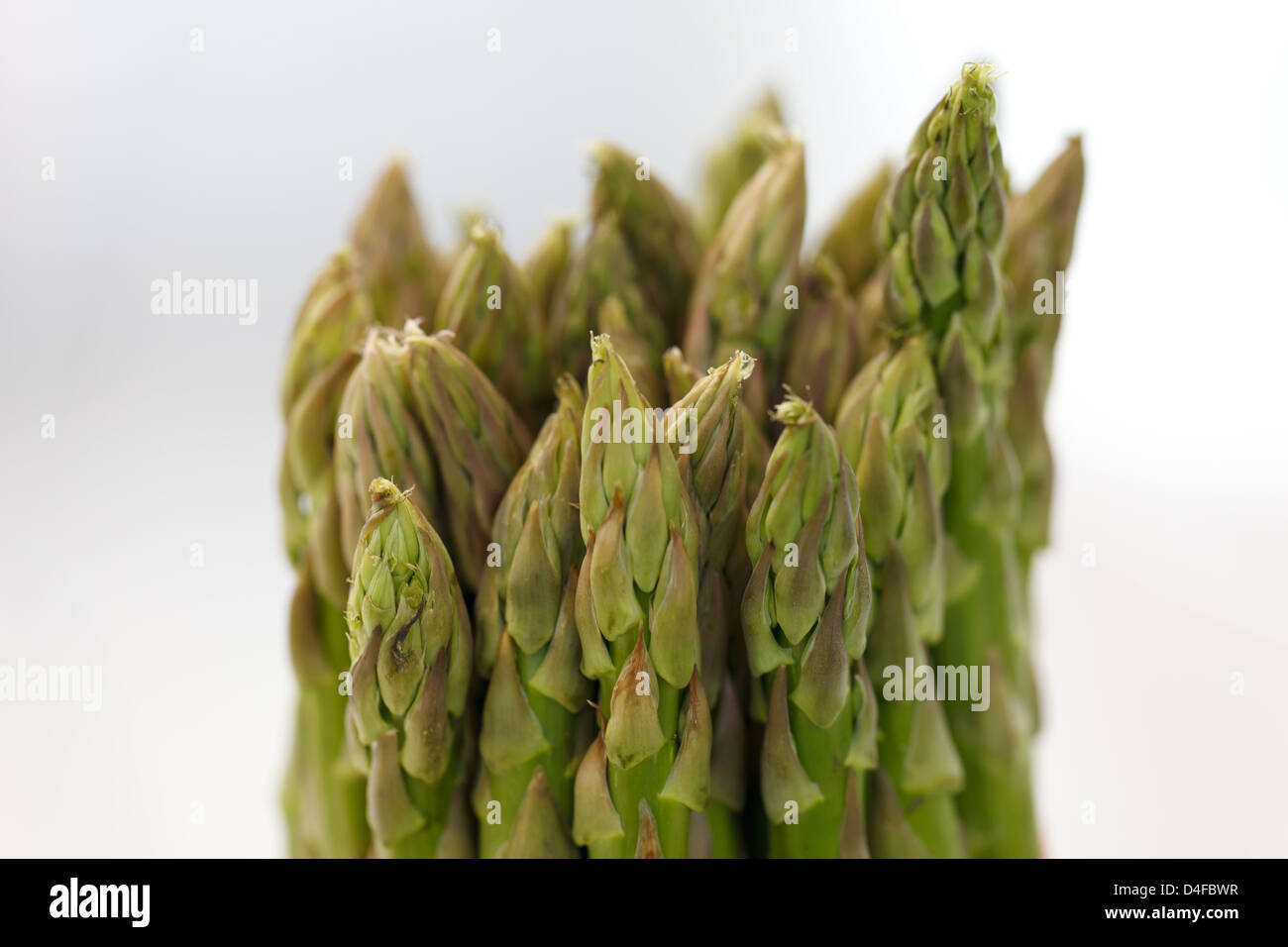 Berlin, Germany, greener asparagus at Fruit Logistica 2011 Stock Photo