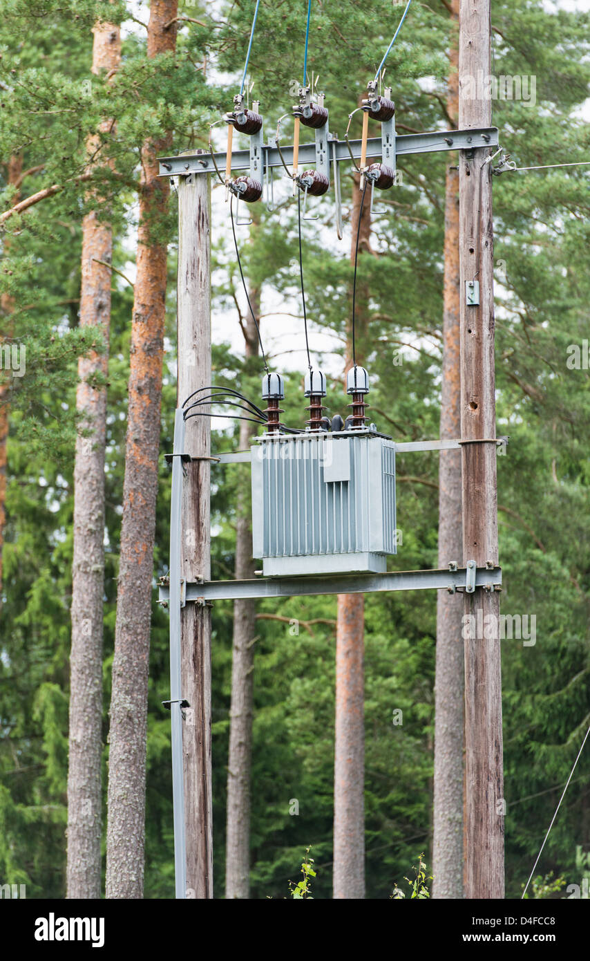 Substation for electricity distribution in the woods, Sweden. Stock Photo