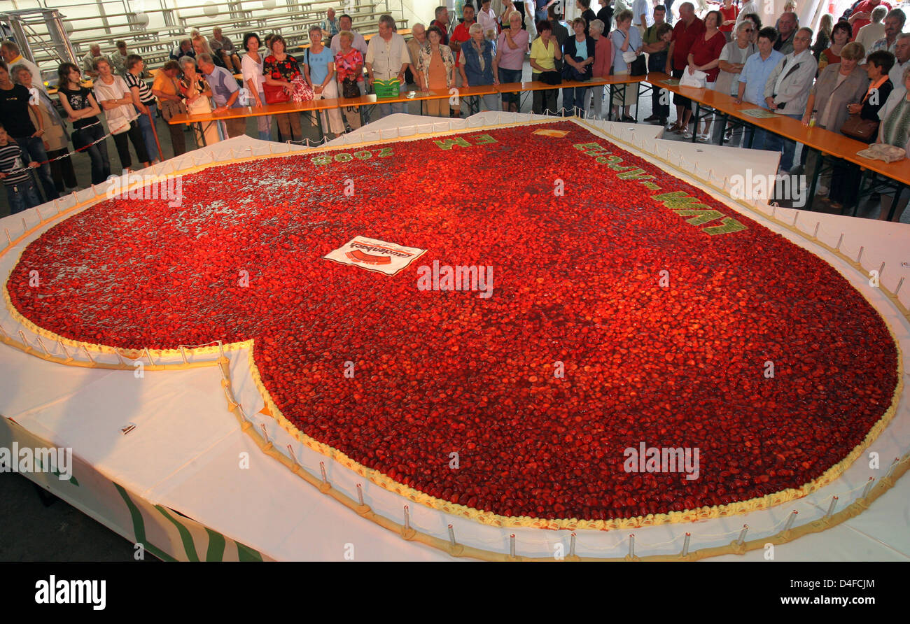 People gather around a giant heart-shaped strawberry cake made by a local bakery in Gera, Germany, 28 June 2008. The 20 square meter cake was created by using 16.000 strawberries, 80 kg pudding, 160 kg bisquit ground and 175 kg Swiss strawberry gel. According to the bakery, the cake is largest such cake in Germany. Photo: JAN-PETER KASPER Stock Photo
