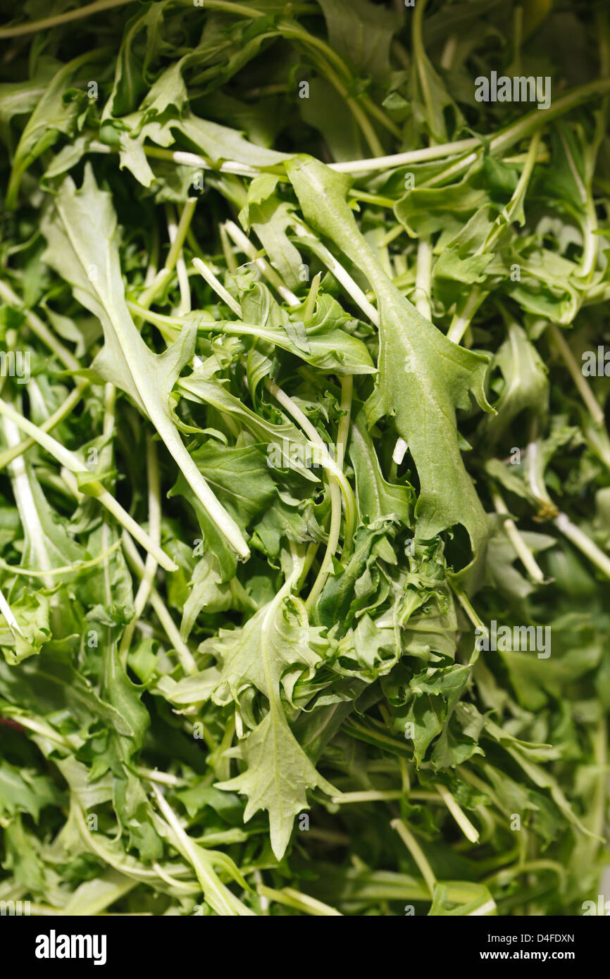 Berlin, Germany, rocket at Fruit Logistica 2011 Stock Photo