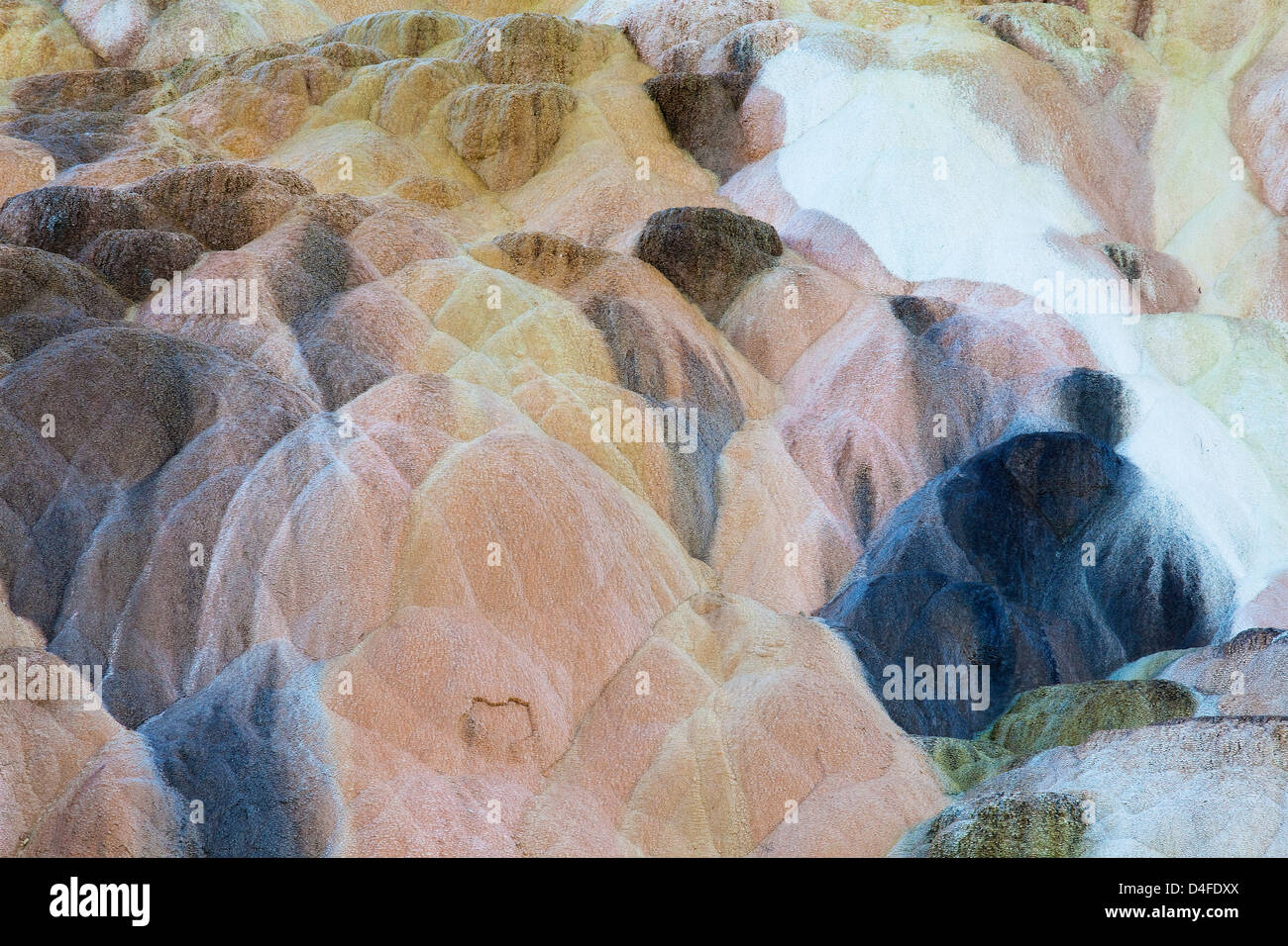 Rock formations in hot spring Stock Photo