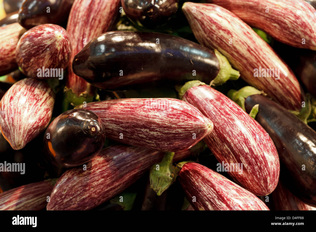 Berlin, Germany, eggplants at Fruit Logistica 2011 Stock Photo