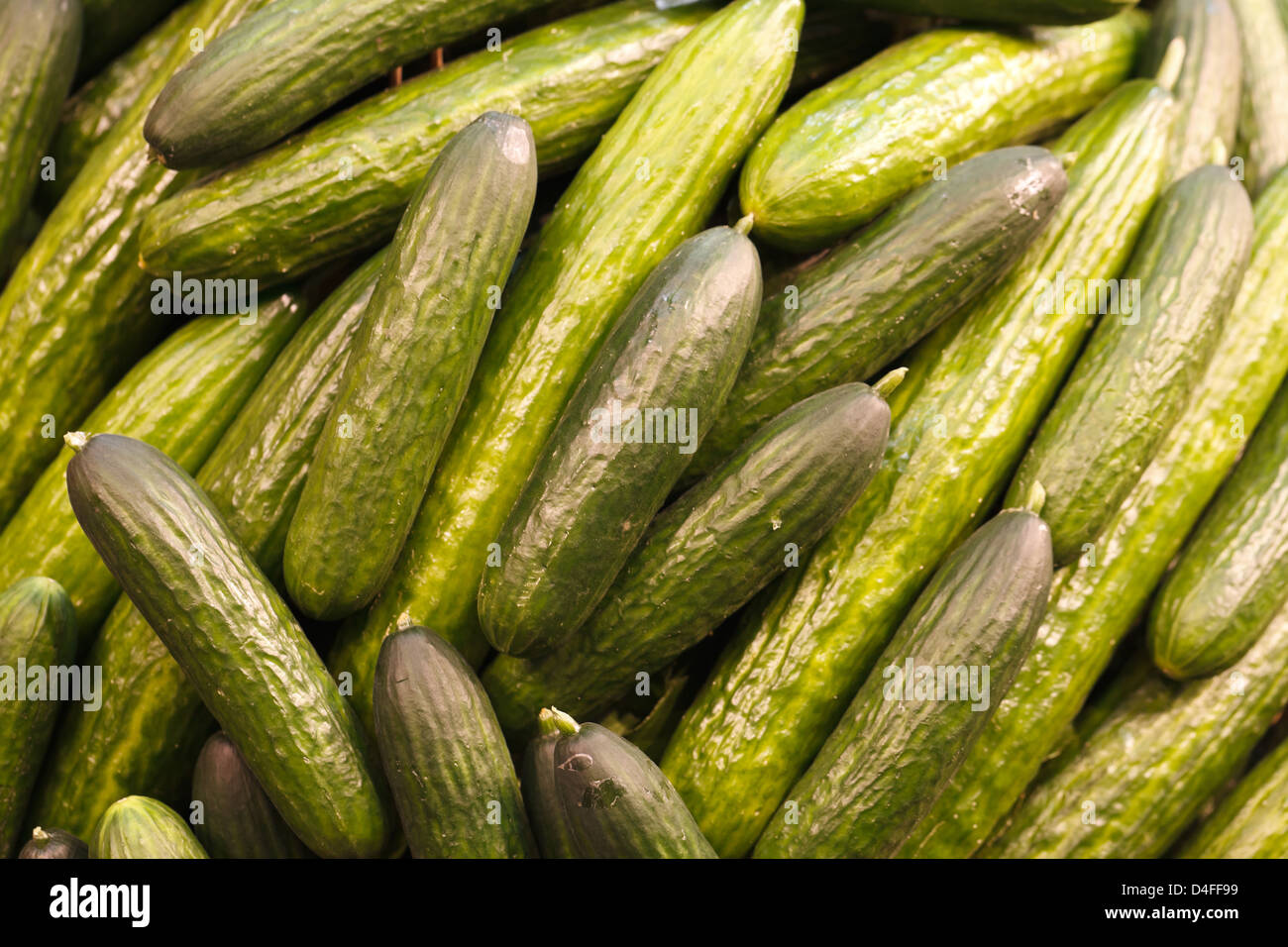 Berlin, Germany, cucumbers at Fruit Logistica 2011 Stock Photo