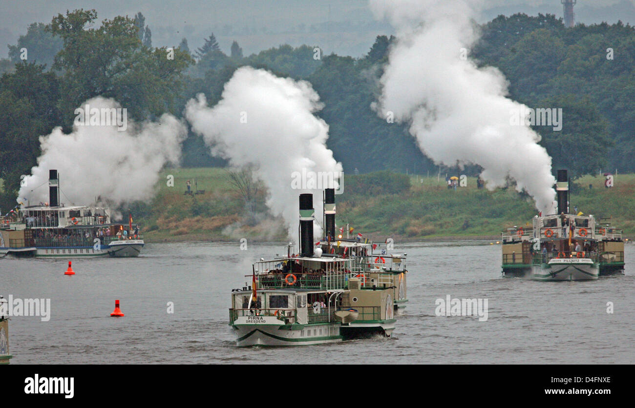 Traditional ships of the 'Saxon steam navigation' ride in formation during the steamboat-parade on Elbe river in Dresden, Germany, 16 August 2008. The parade to Pillnitz and back is the main attraction of Dresden's 10th city festival celebrating the 802nd birthday of the city of Dresden. Photo: RALF HIRSCHBERGER Stock Photo