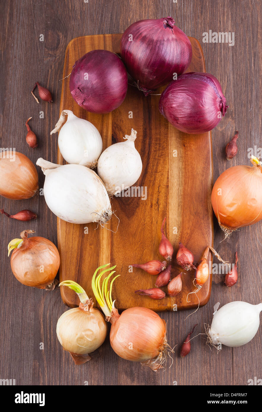 Different varieties of onions Stock Photo Alamy