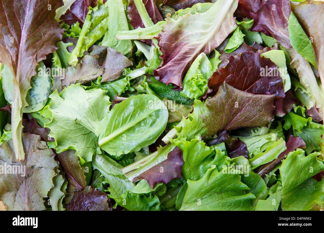Mixed greens hi-res stock photography and images - Alamy