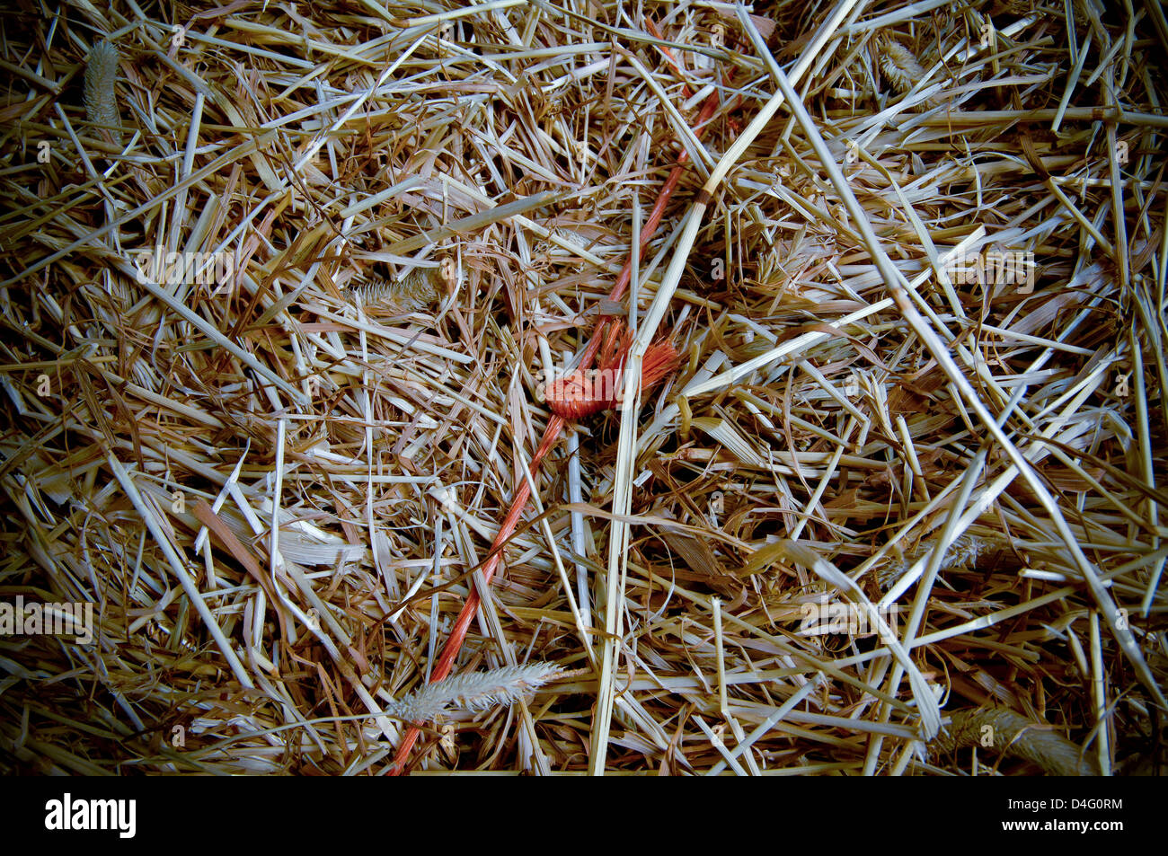 Baler twine hi-res stock photography and images - Alamy