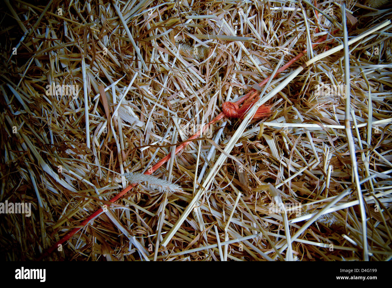 Stacked square bales of Hay in barn close up with baler twine visible