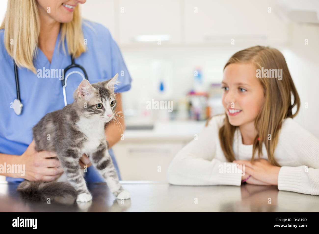 Veterinarian examining cat in vet's surgery Stock Photo