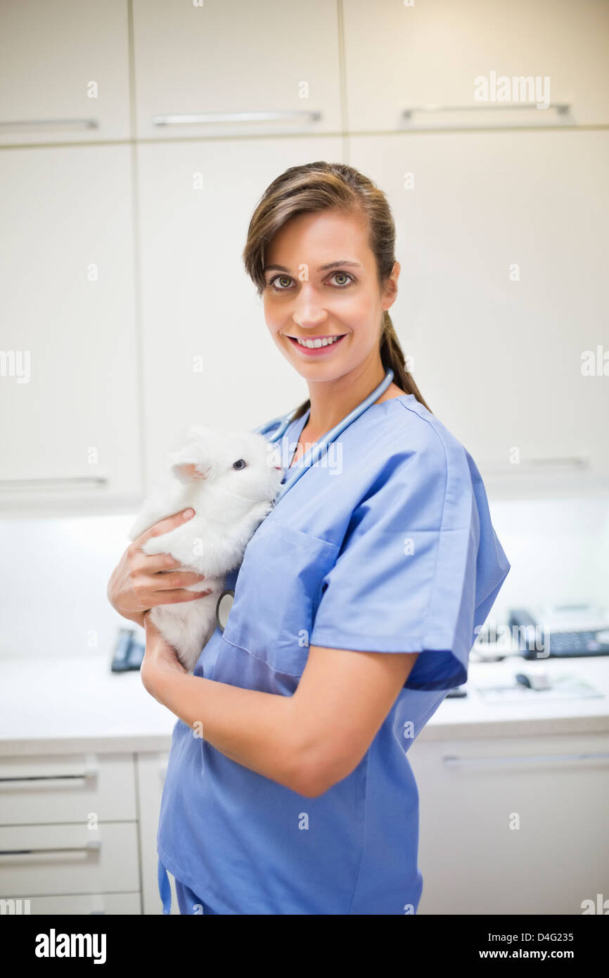 Smiling veterinarian holding rabbit in vet's surgery Stock Photo Alamy