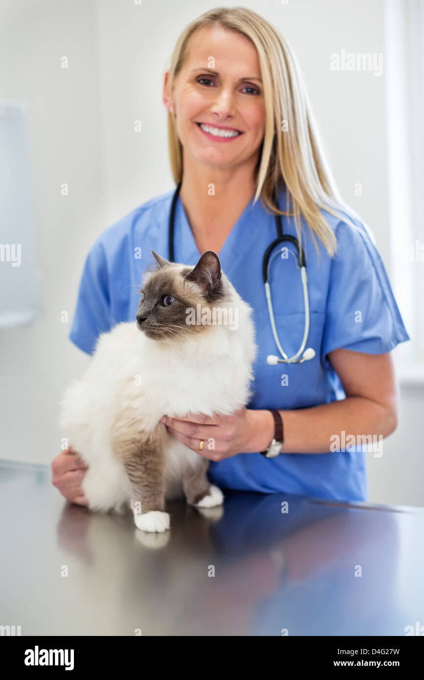 Long haired burmese hi-res stock photography and images - Alamy Long haired burmese hi-res stock photography and images - Alamy