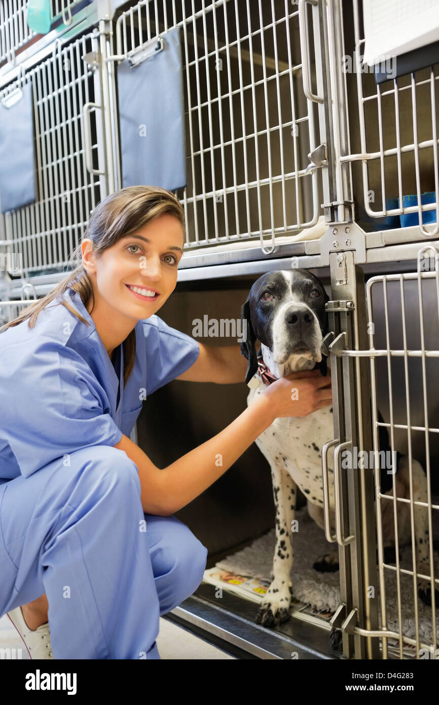 Smiling vet placing dog in kennel Stock Photo Alamy