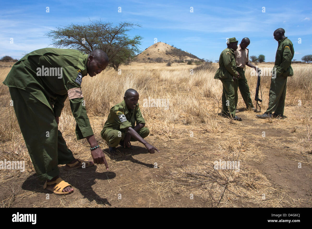 Anti-poaching patrol, Mbirikani Group Ranch, Amboseli-Tsavo eco-system, Chyulu Hills, Kenya, Africa, October 2012 Stock Photo