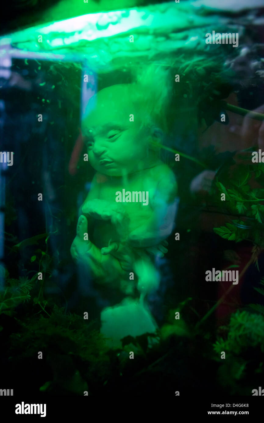 Baby fetus hires stock photography and images Alamy