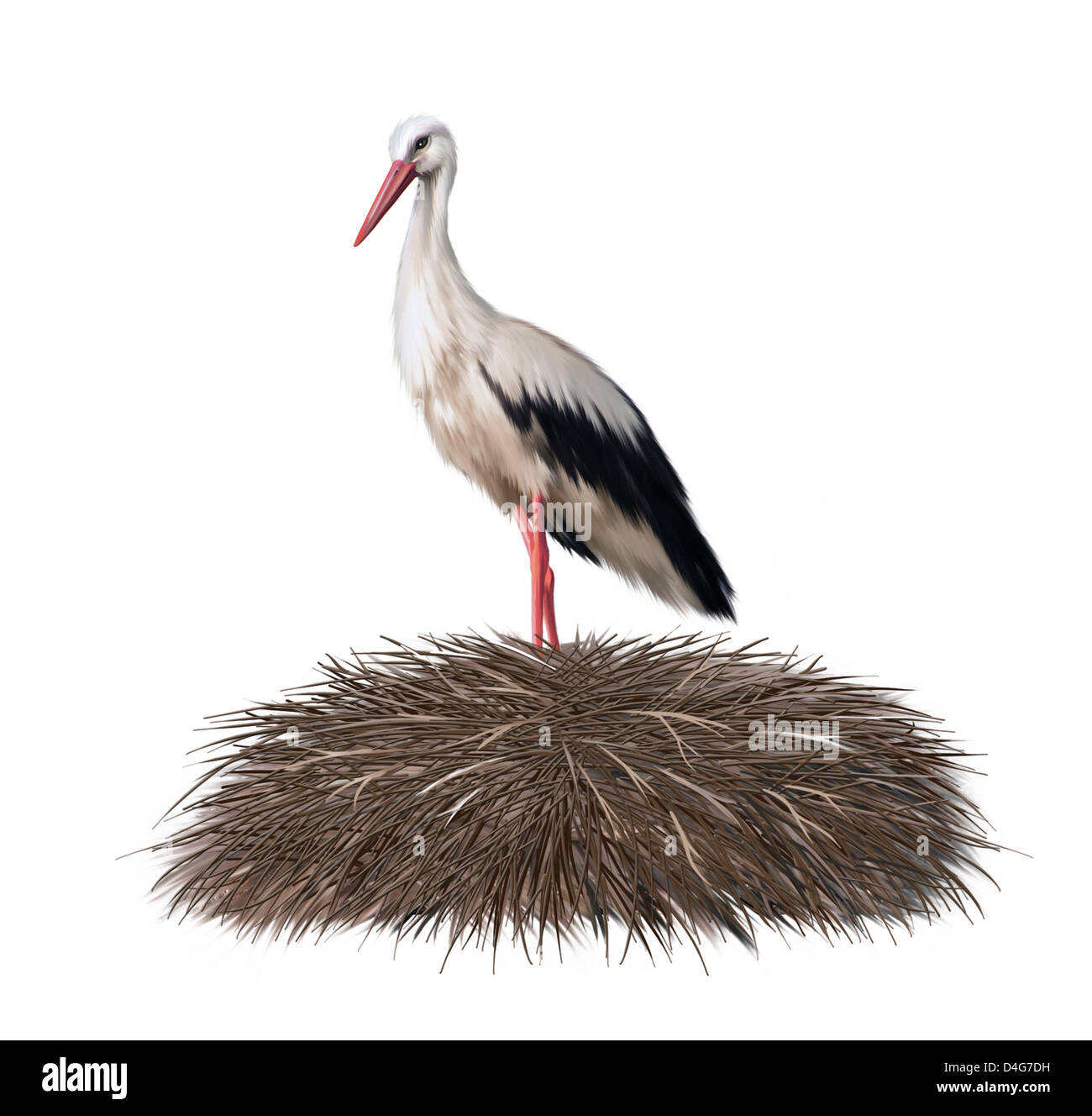 stork in its nest. Spring Stock Photo