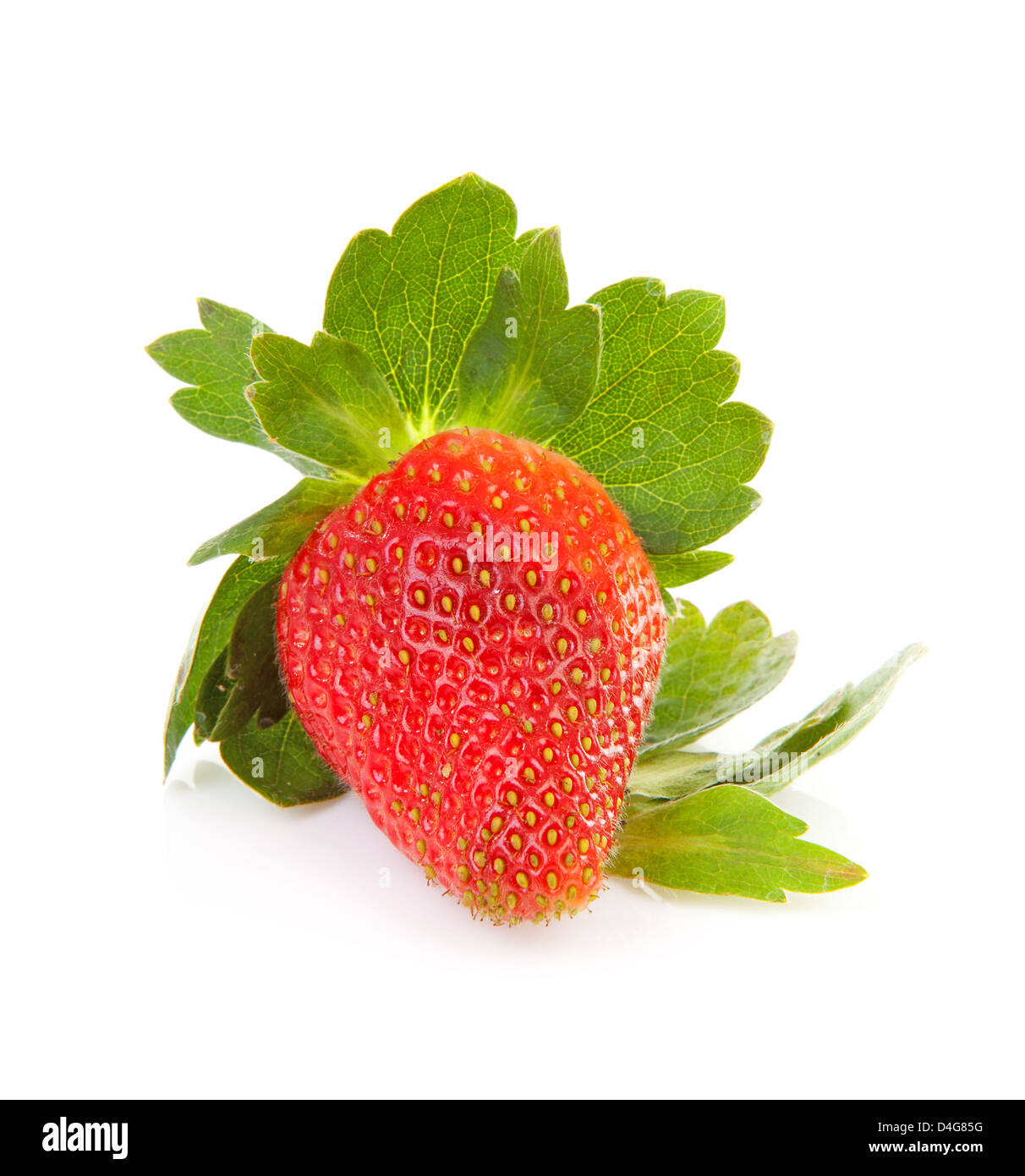 Big fresh strawberry over white background Stock Photo - Alamy