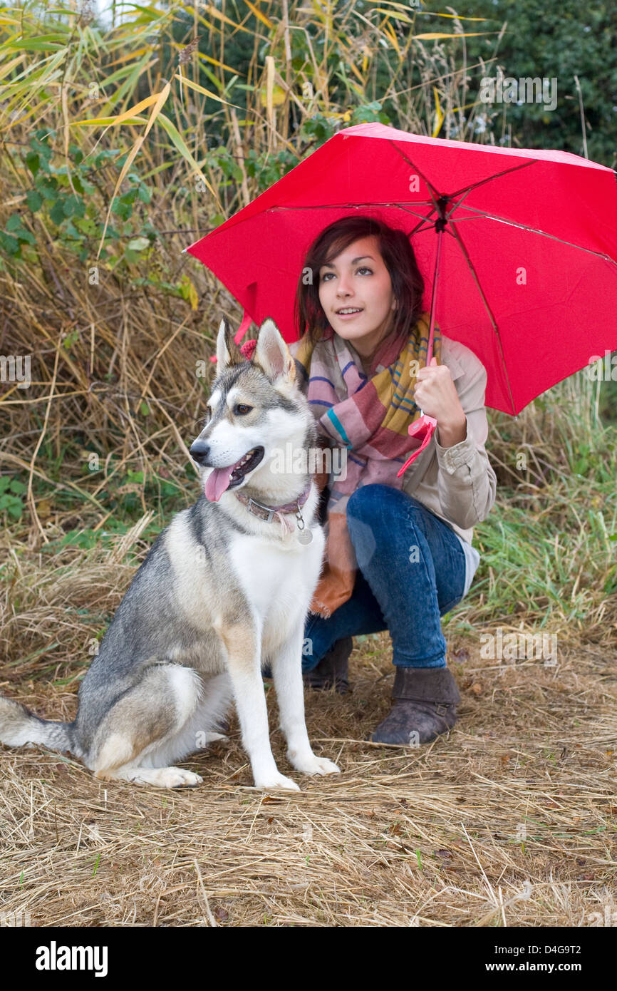 Alaskan Malamute Umbrella Alaskan Malamute Umbrella